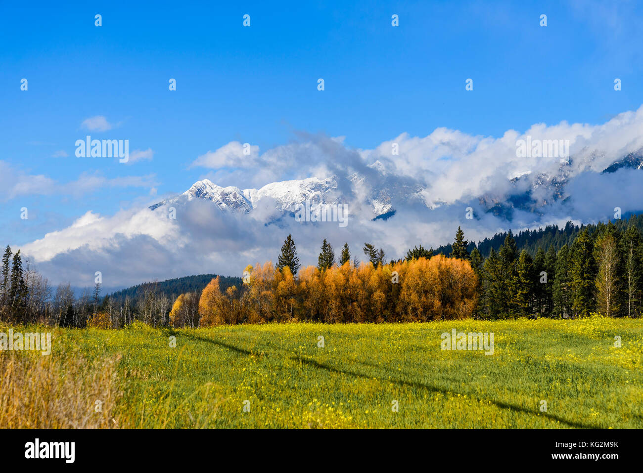 Snow covered Rocky Mountains and Fall colour, Columbia Valley, British Columbia, ,Canada. Stock Photo