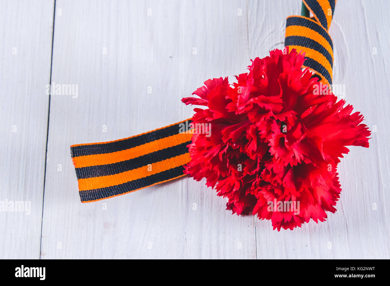 Red carnations tied with Saint George ribbon on gray Stock Photo - Alamy
