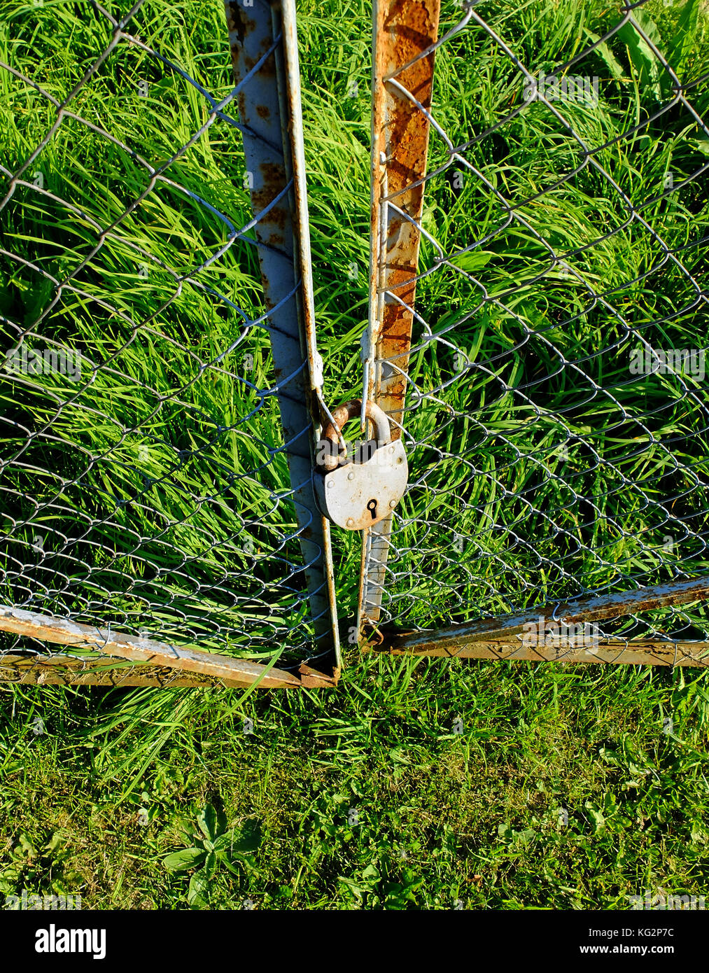 Old Rusty Gates Tigtly Locked In The Beautiful Outdoor Environment 