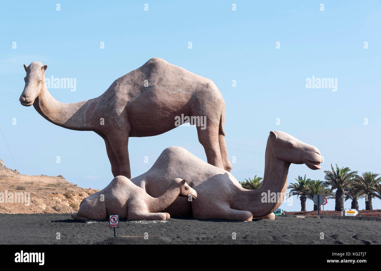 Camels in roundabout hi-res stock photography and images - Alamy