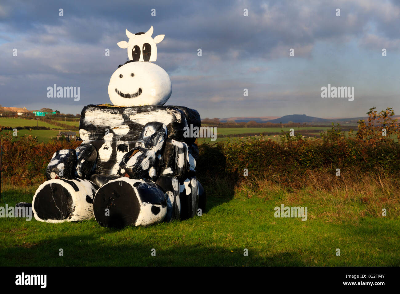 Black plastic coated hay bales for winter fodder arranged and painted to resemble a black and white cow Stock Photo