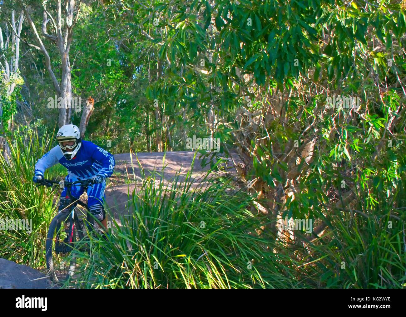 Young Mountain biker riding through bush land Stock Photo