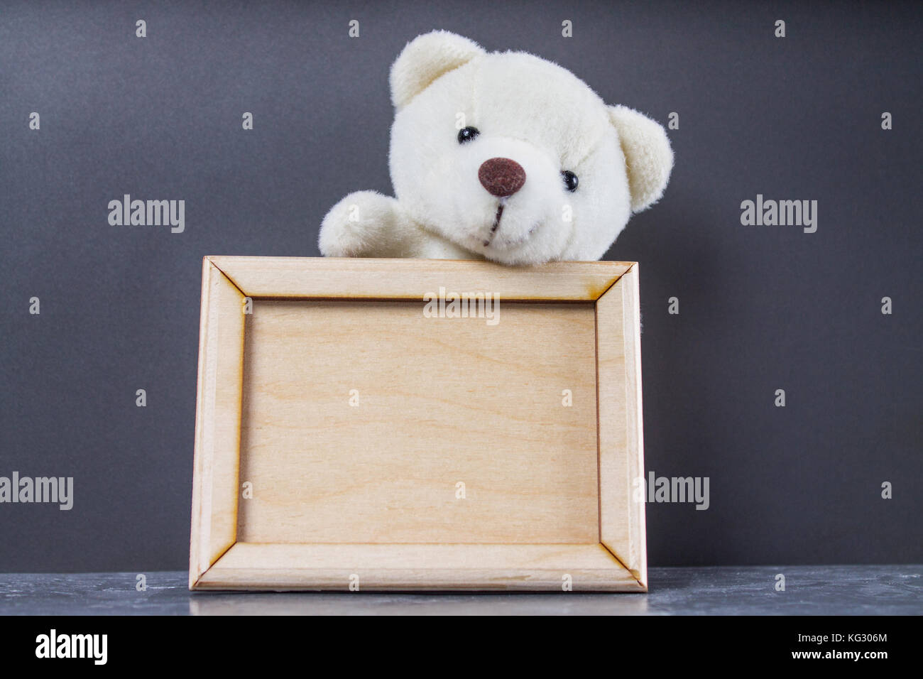 teddy bear holding picture frame
