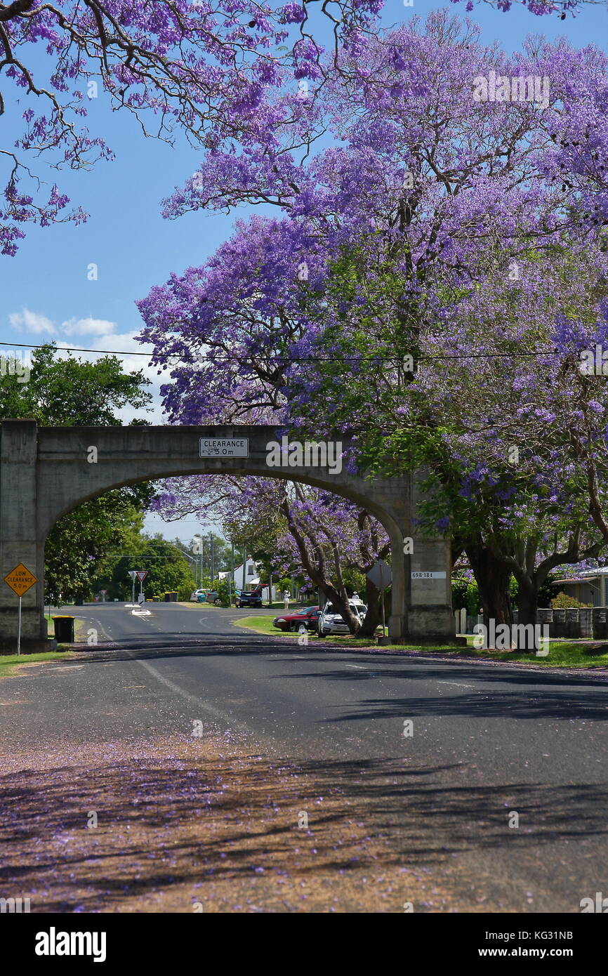 Grafton Nsw Stock Photos & Grafton Nsw Stock Images Alamy