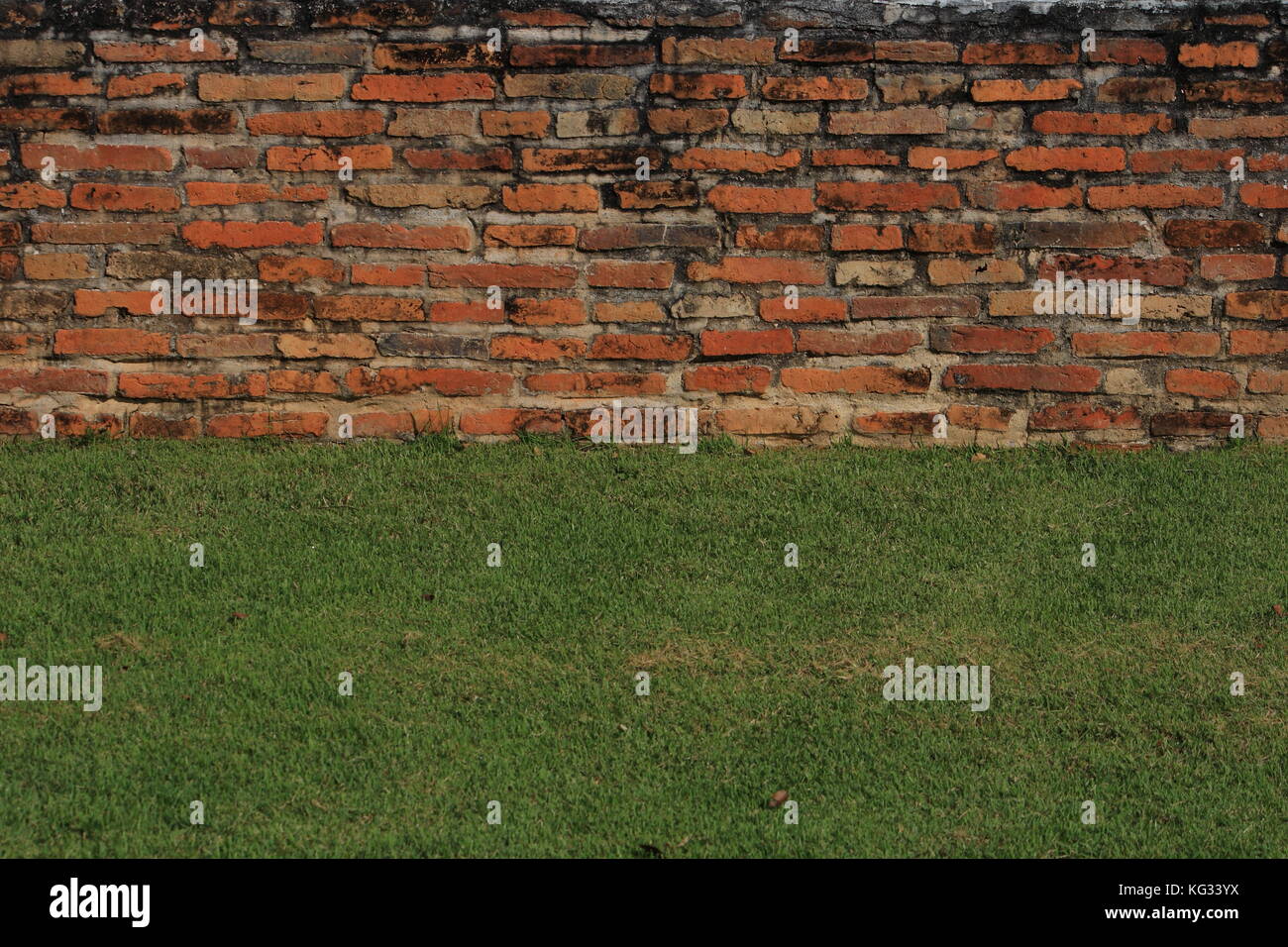 Old brick wall green grass material in a background image Stock Photo ...