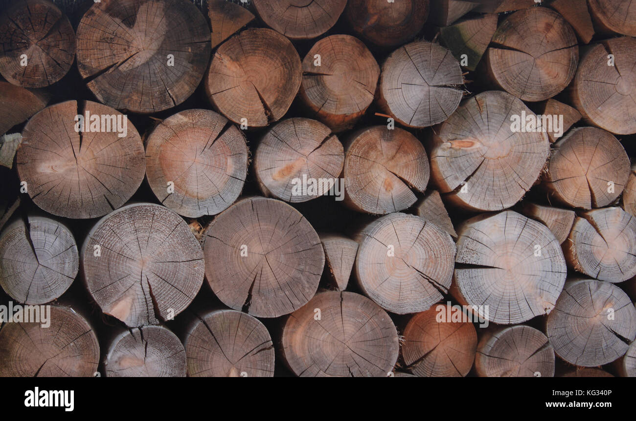 Timber Rounds Background round fire wood texture background for concept vintage design Stock ...