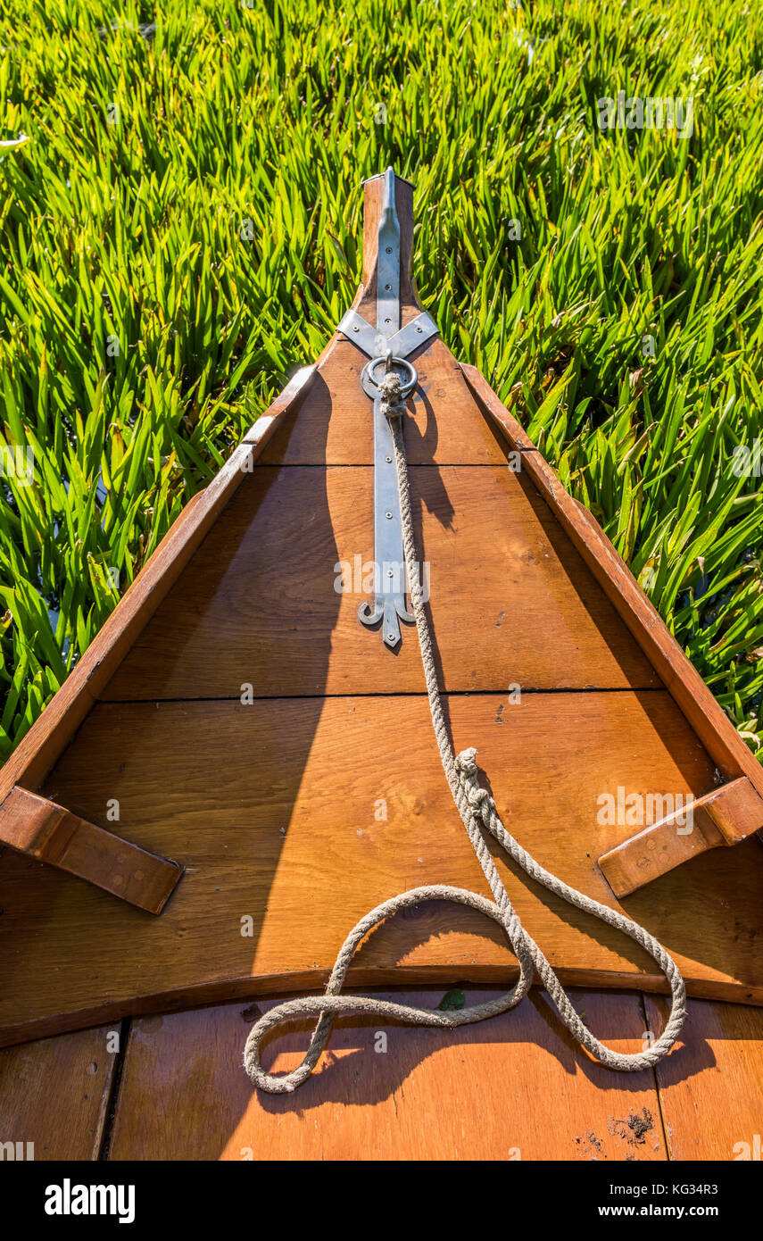 Punter Boat in Giethoorn and Waterplants (Stratiotes aloides). Stock Photo