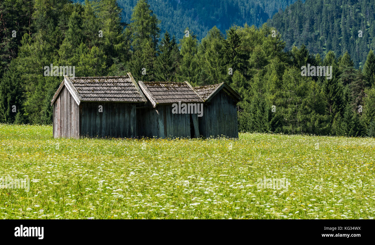 Three cabins in the valley of the Lech near Stanzach, Austria with in the background the Austrian mountains on a summers day. Stock Photo