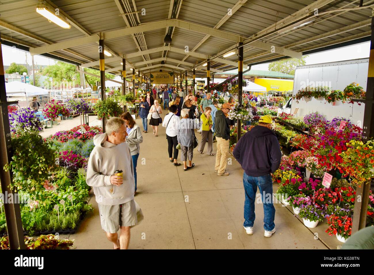 People shopping at farmers' vendor booths at year round Ann Arbor Stock