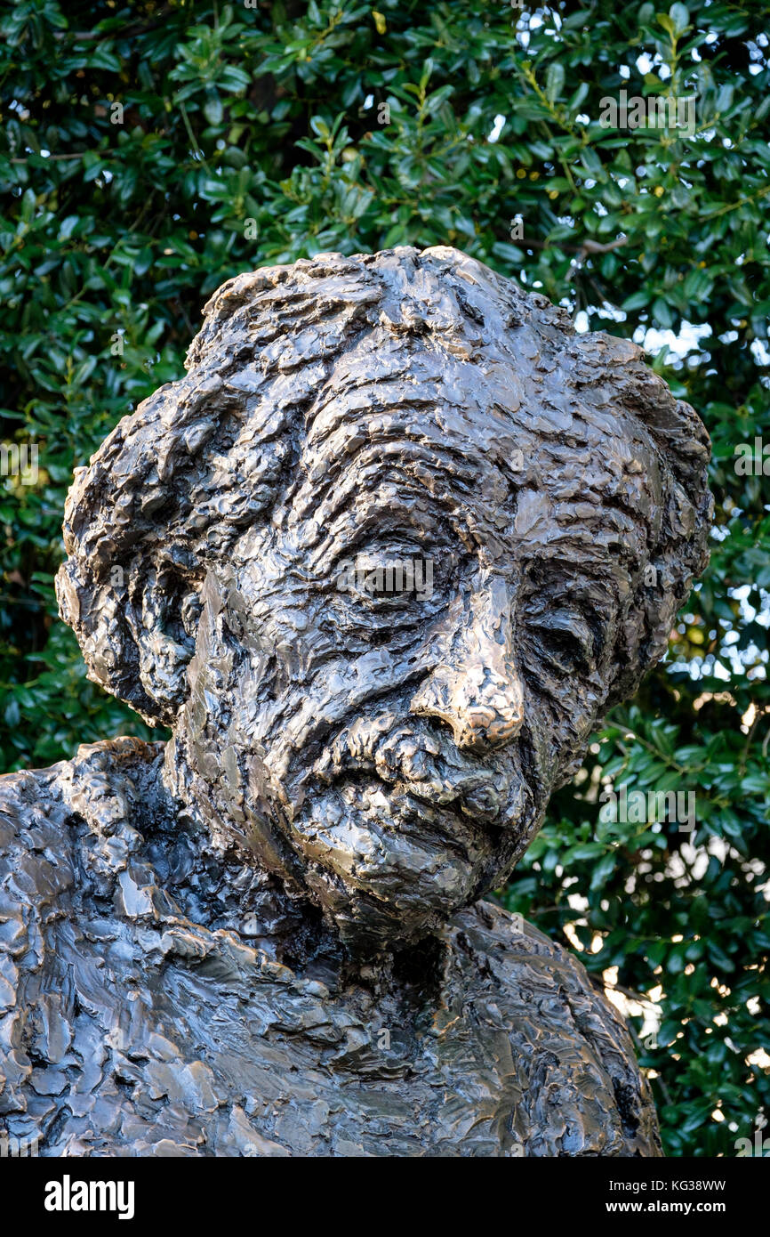 Close-up of Albert Einstein's face bronze statue at the Albert Einstein Memorial, in Washington, D.C., United States of America, USA. Stock Photo