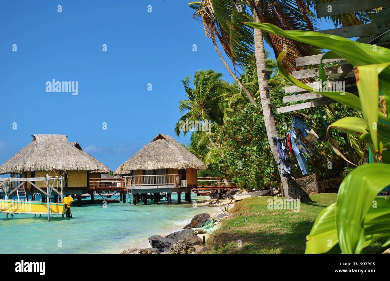 Bora Bora Bungalows Over Water With Palm Trees And Land Stock