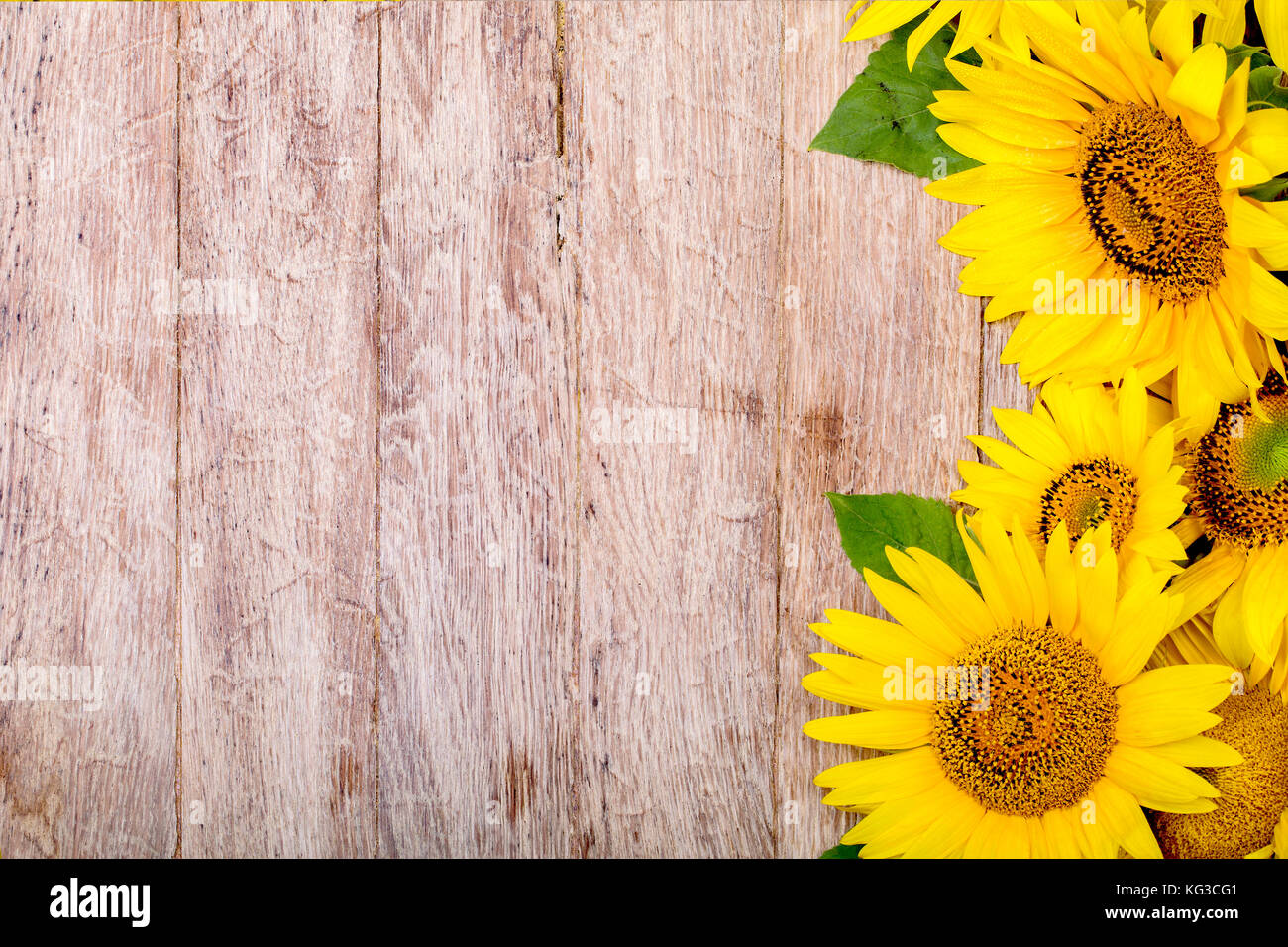 sunflowers are on the wooden background Stock Photo - Alamy