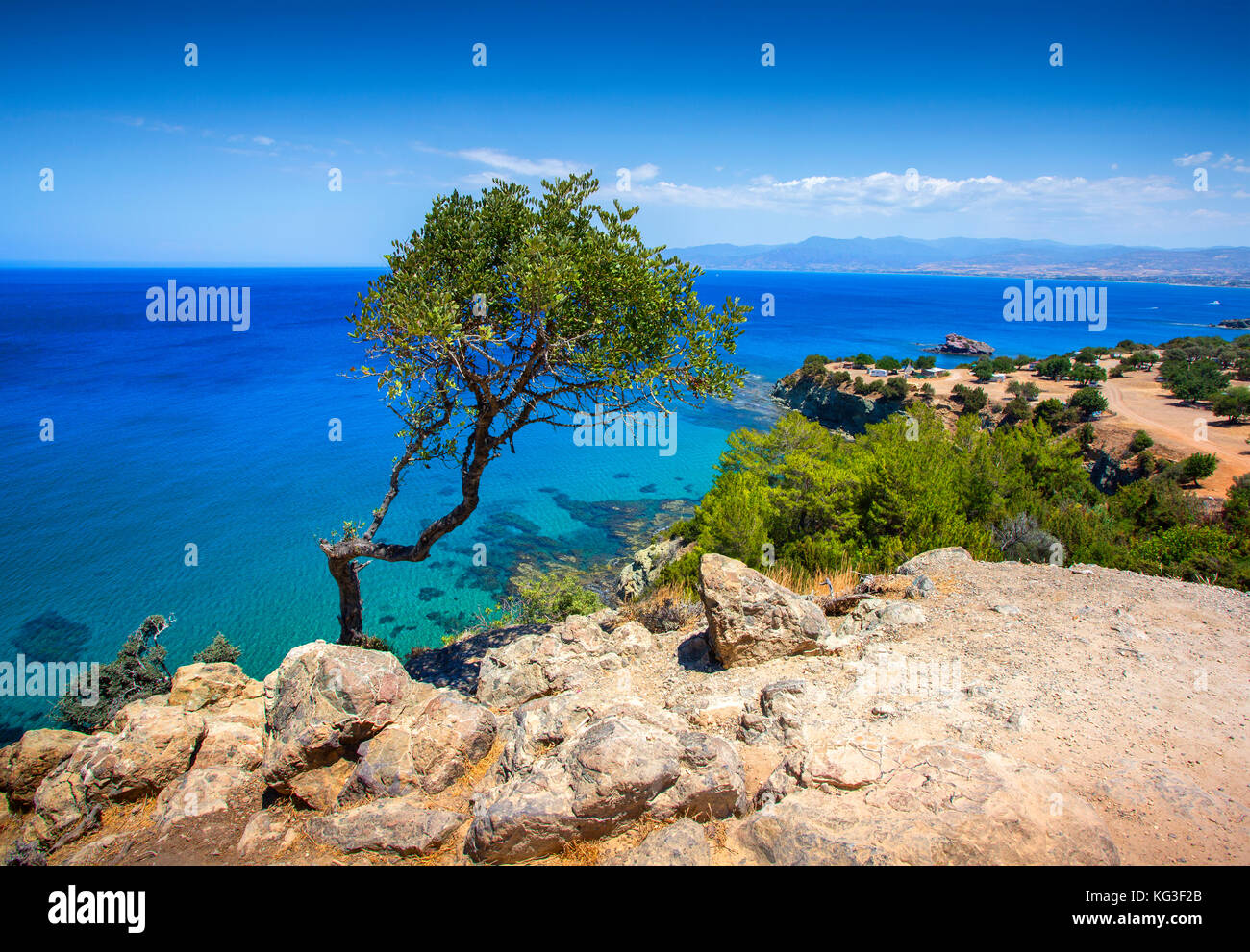 view of lonely tree and sea on Akamas peninsula, Cyprus Stock Photo