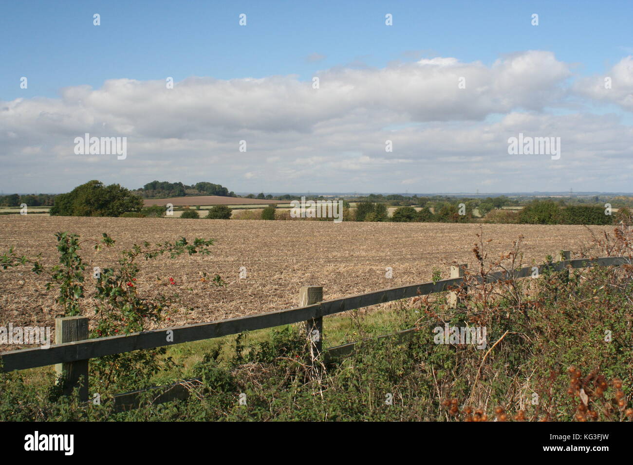 Harrowdown Hill Stock Photo