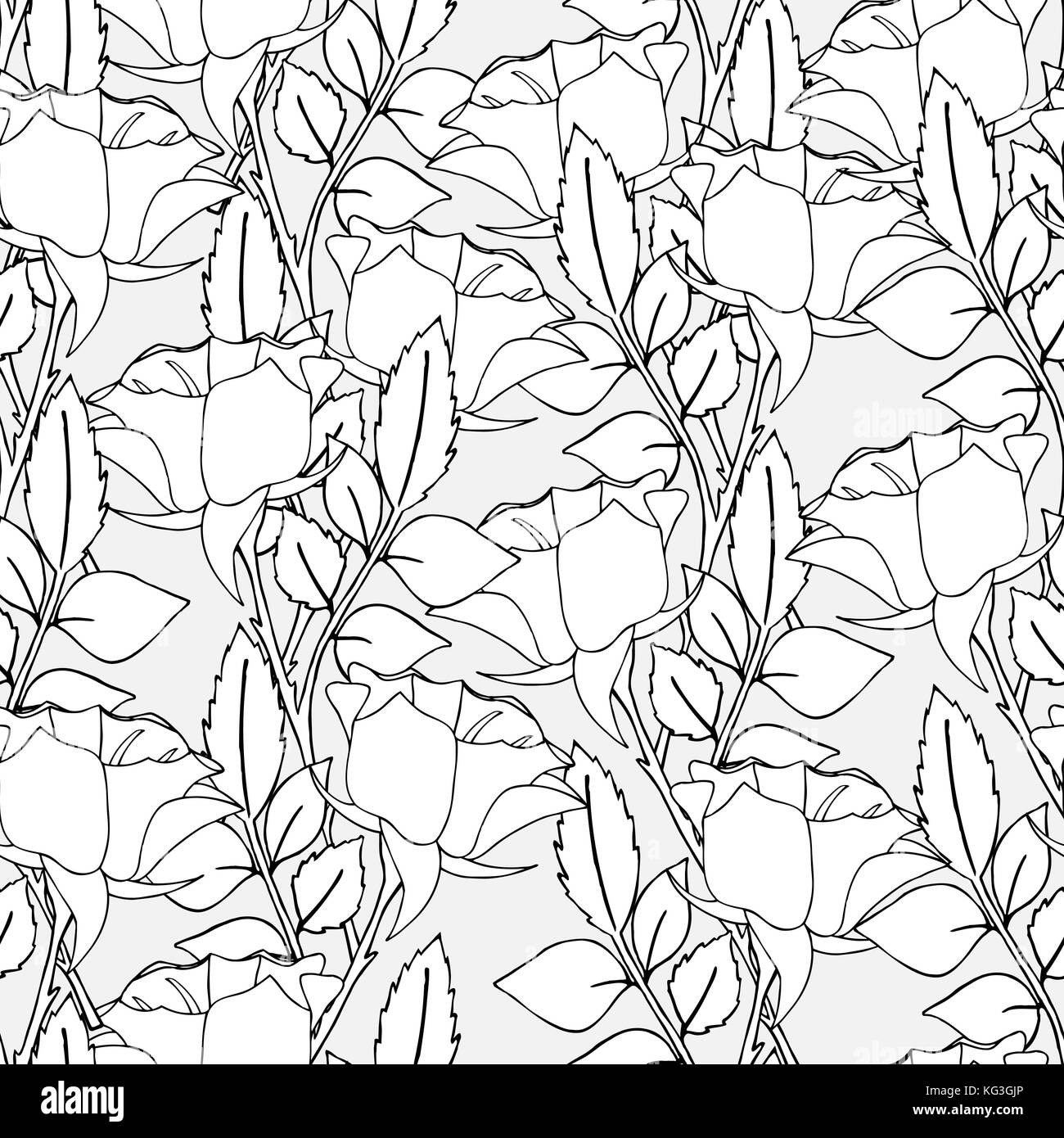 beautiful black and white seamless pattern in roses with contours. Hand ...