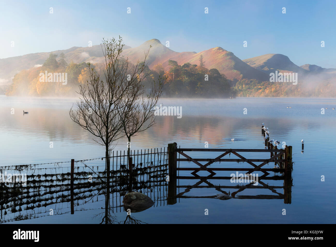 Misty morning on Derwentwater Keswick Cumbria Lake District Stock Photo