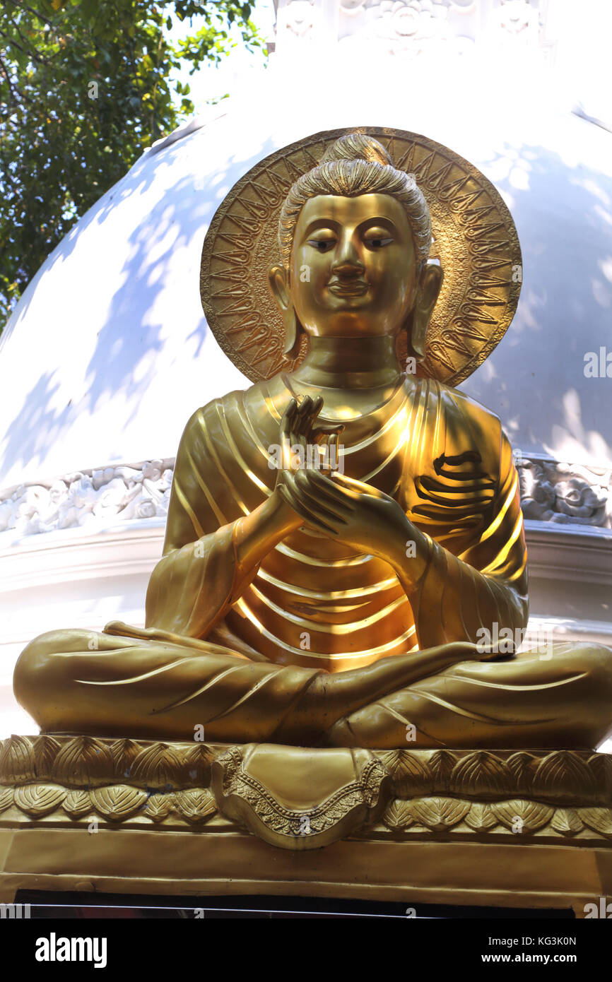 Colombo Sri Lanka Slave Island Gangaramaya Temple Gold Buddha Statue with the Dharmachakra Mudra and seated in the Padmasana Position Stock Photo