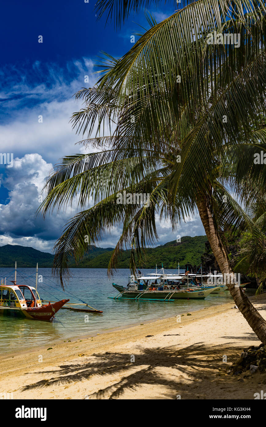 Asia Philippines Palawan El Nido Entalula Island, one of the highlights