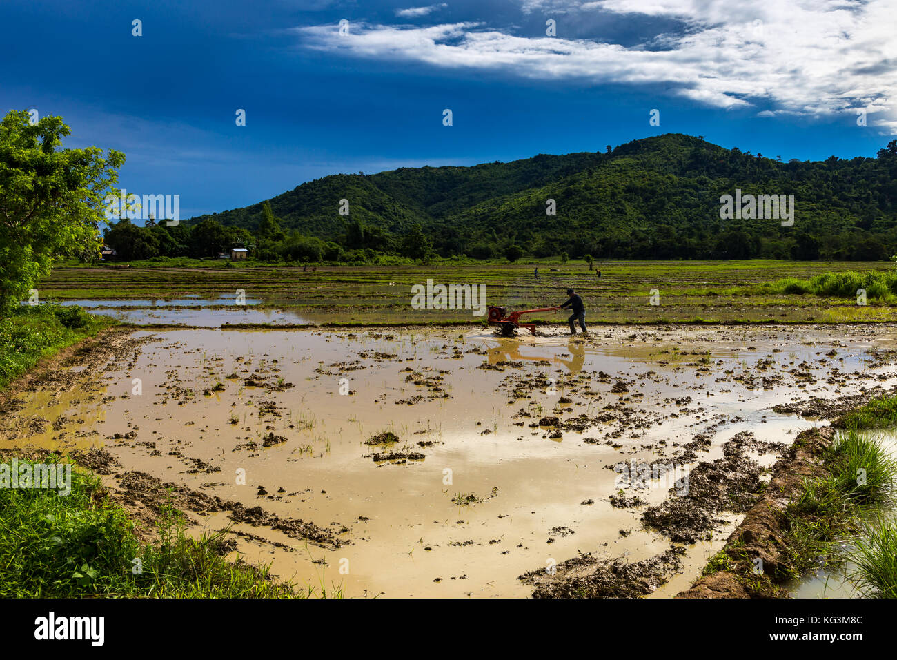 Asia Philippines Palawan El Nido Farmer preparing his rice fields for ...