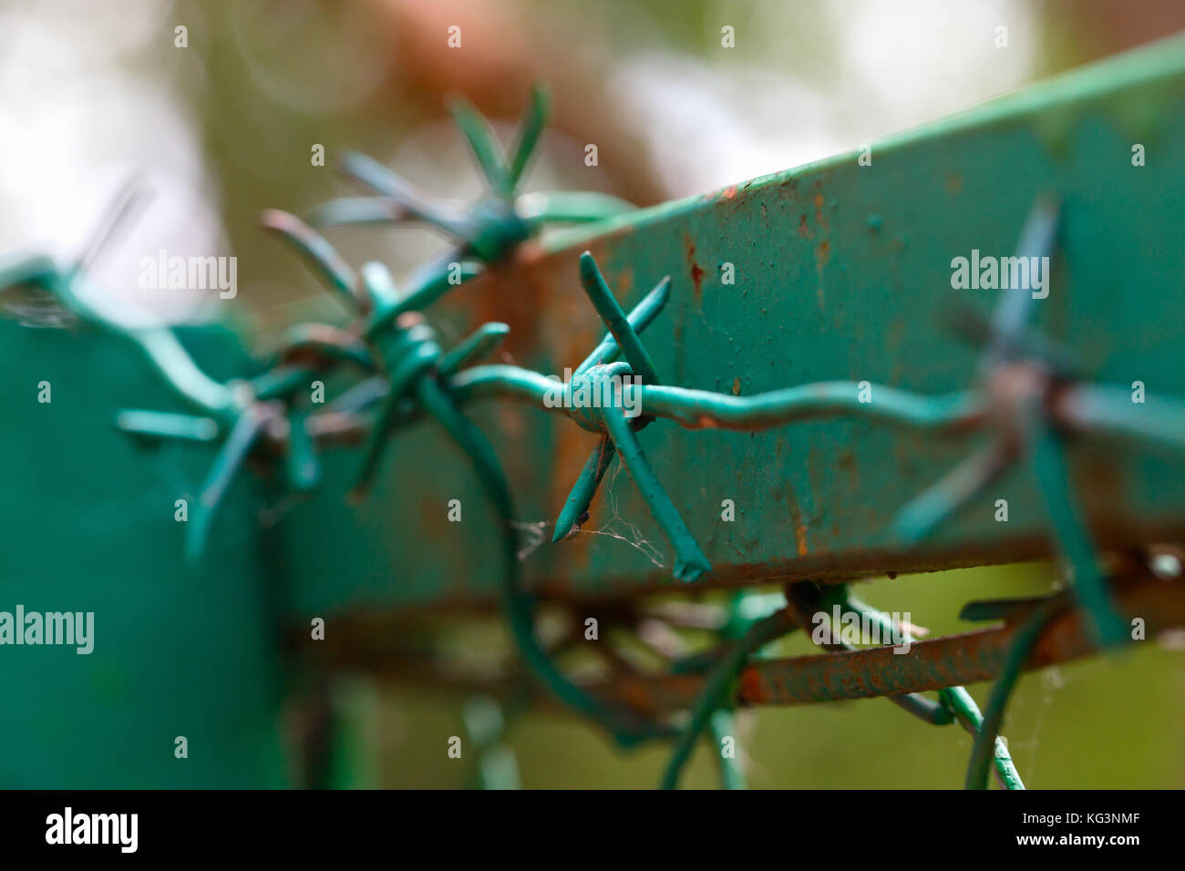 Barbed wire on the top part of a fence. A fence frame from an iron profile, the fence and a wire are painted green color. Close up, small depth of sha Stock Photo