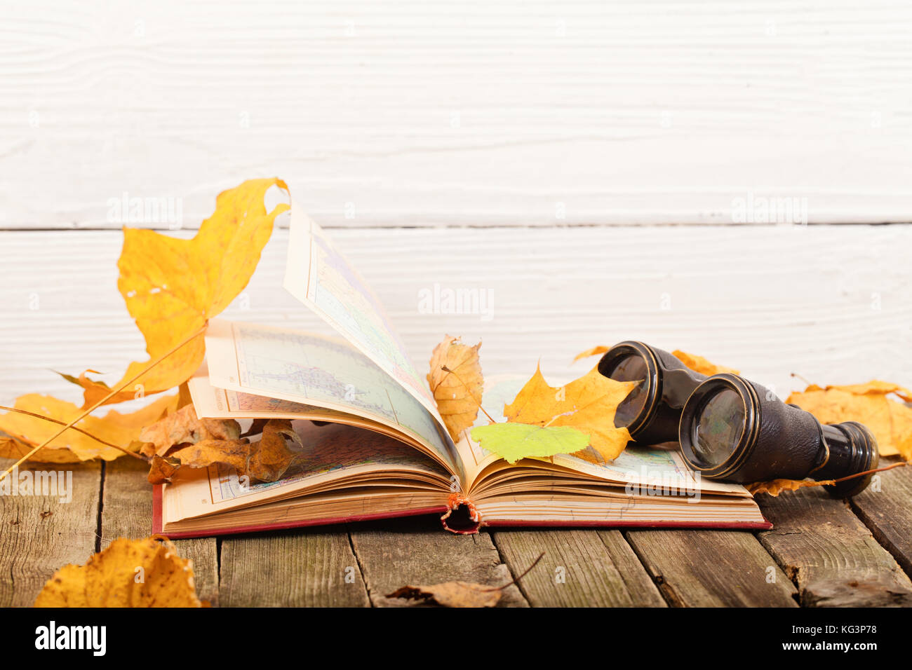 The open book and field-glass in yellow autumn leaves. The book lies on ...