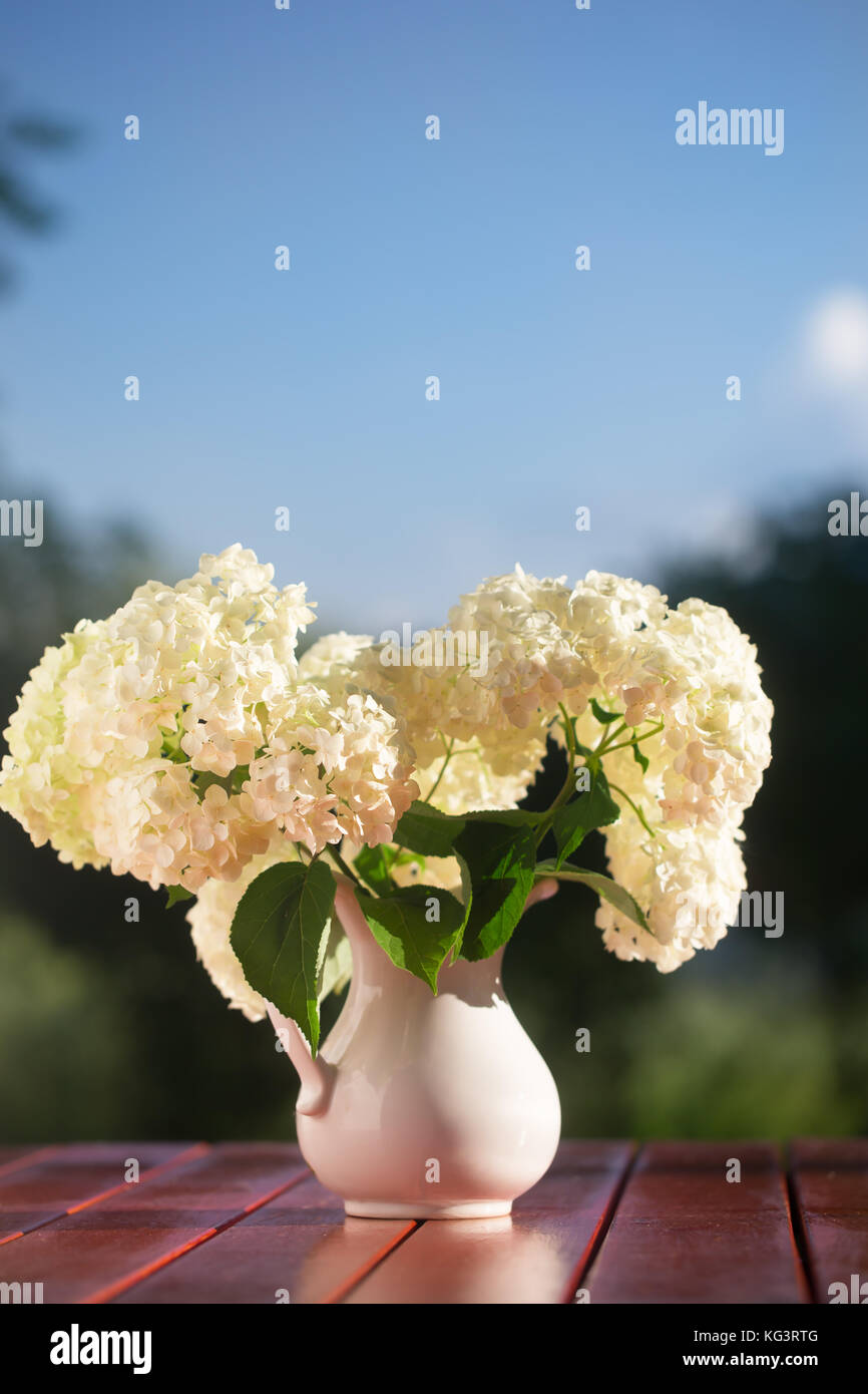 Hydrangea Bouquet Of Flowers In A White Jug Flowers On A