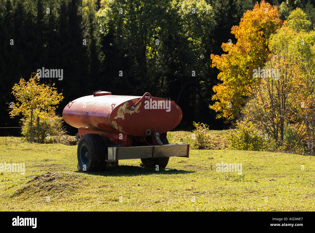 Water supply for thirsty farm animals, living in the fences Stock Photo