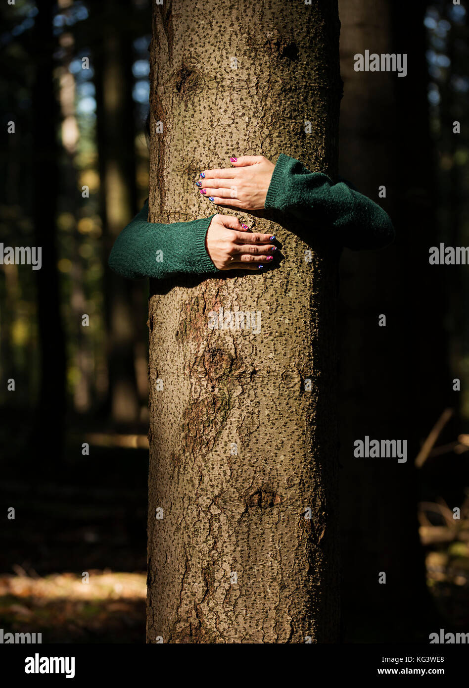 Woman Hand Tree Womans hands are firmly holding a tree Stock Photo - Alamy
