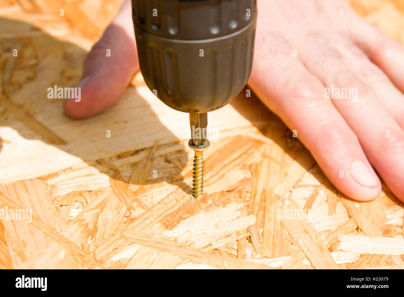 The carpenter's hands screw the screw into the OSB using a screwdriver