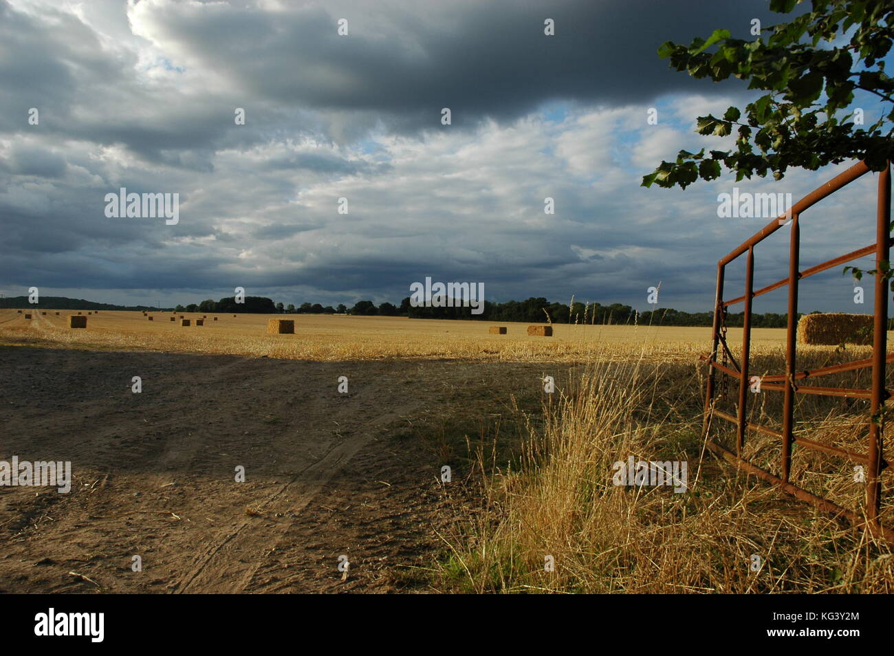 after the harvest Stock Photo - Alamy