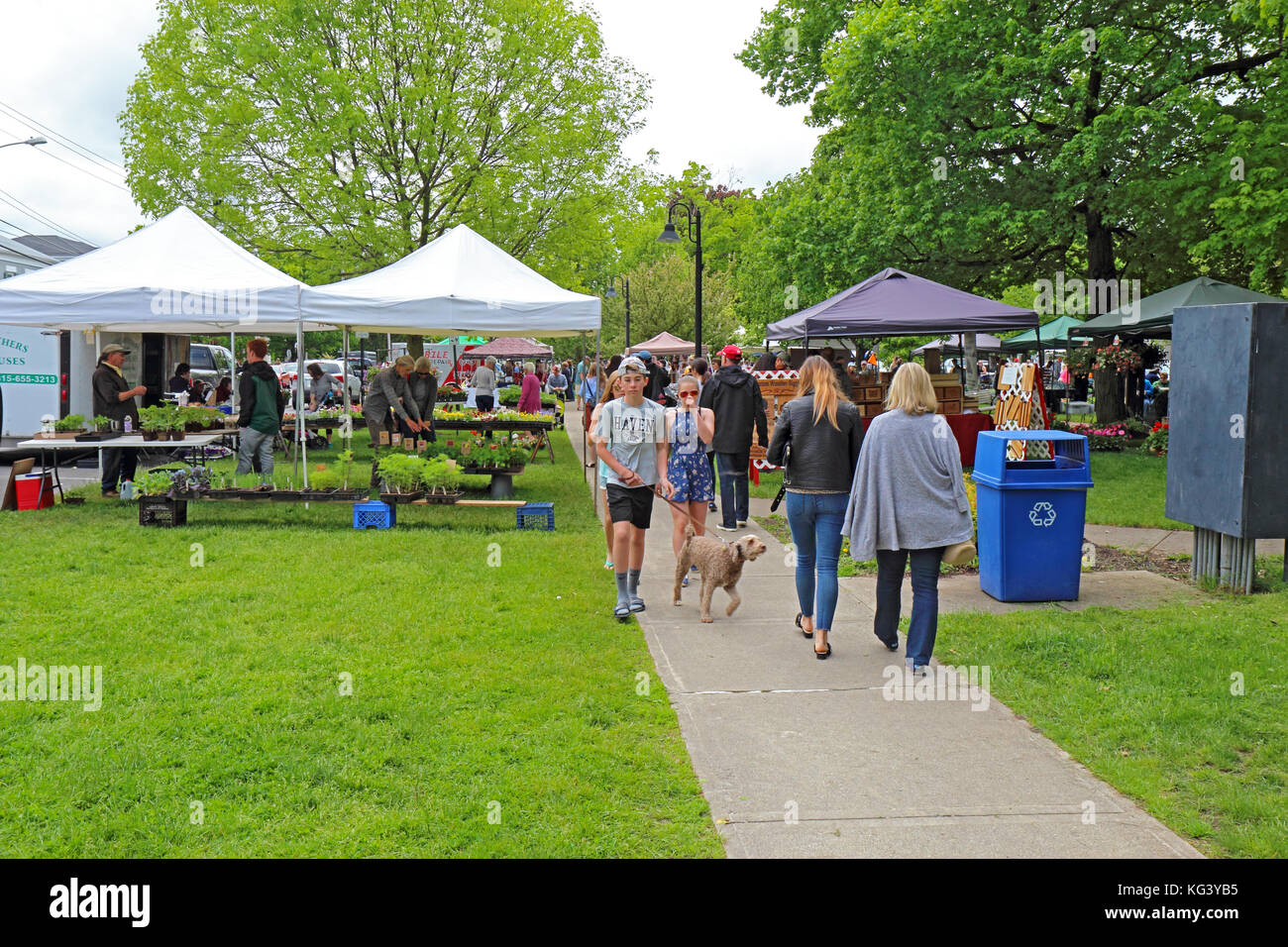 HAMILTON, NEW YORK - MAY 27 2017: Vendors and shoppers at the local, Saturday farmers market in the village of Hamilton near Colgate University in ups Stock Photo