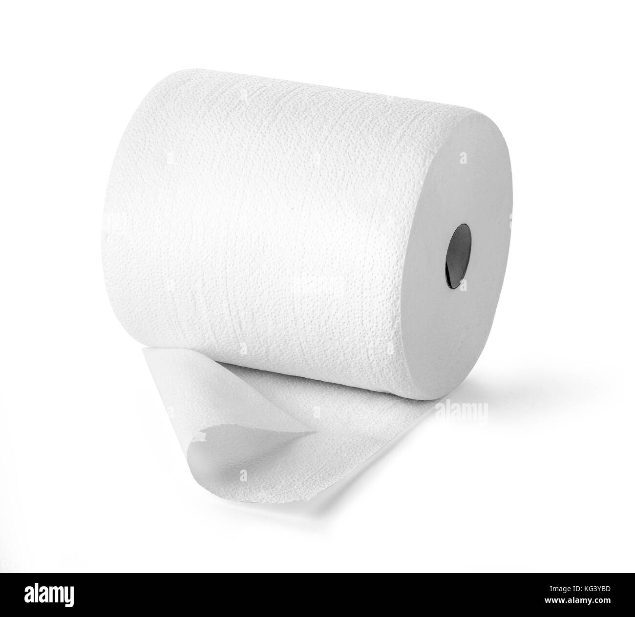 Simple toilet paper on white background with clipping path Stock Photo