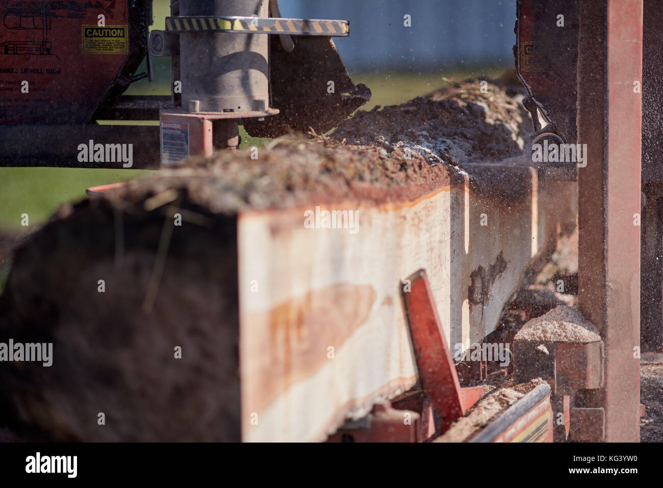 Close up on an industrial saw cutting lumber during the milling process