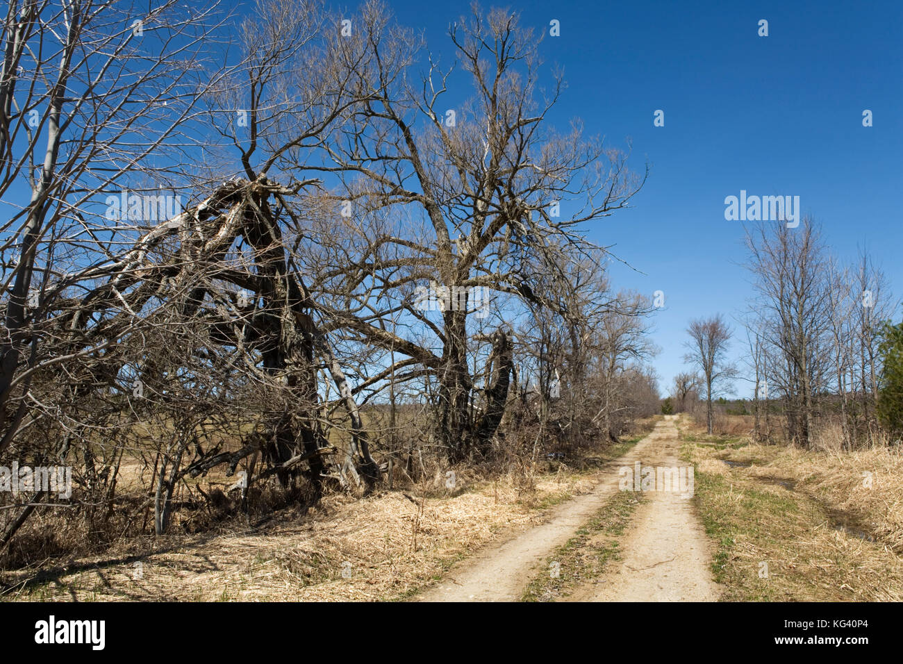 Canada, Ontario, rural, Spring Stock Photo - Alamy