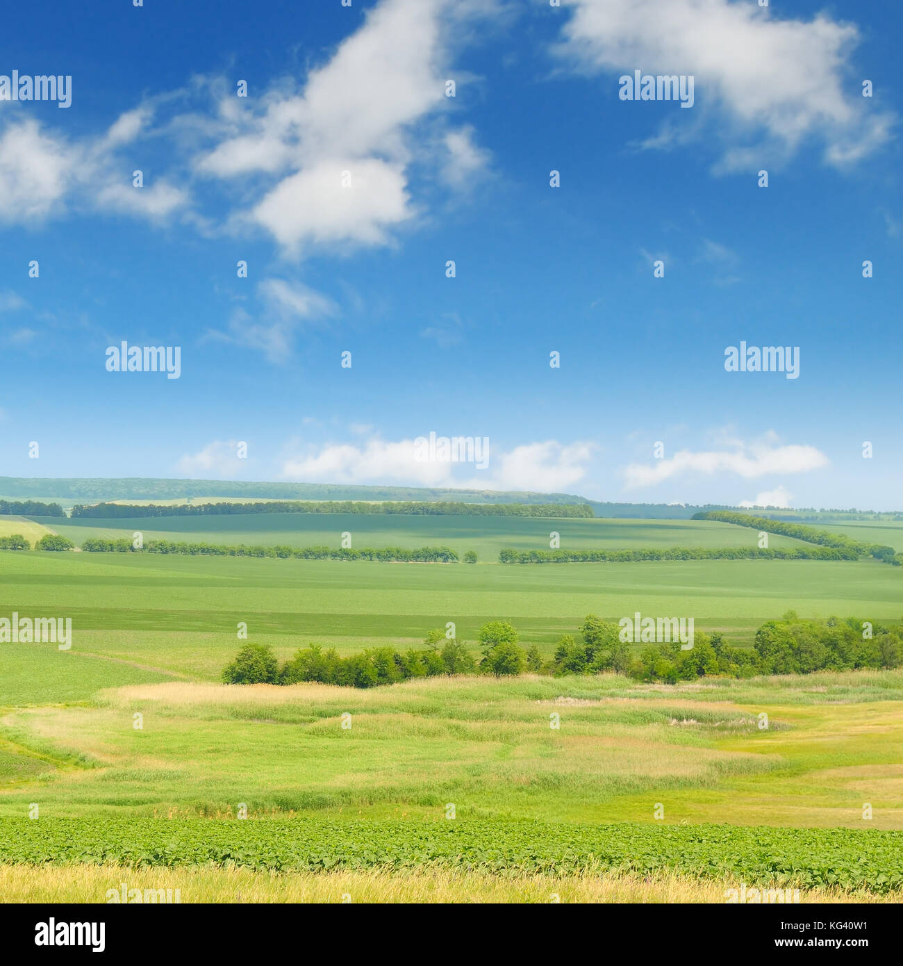 green field and blue sky with light clouds Stock Photo - Alamy