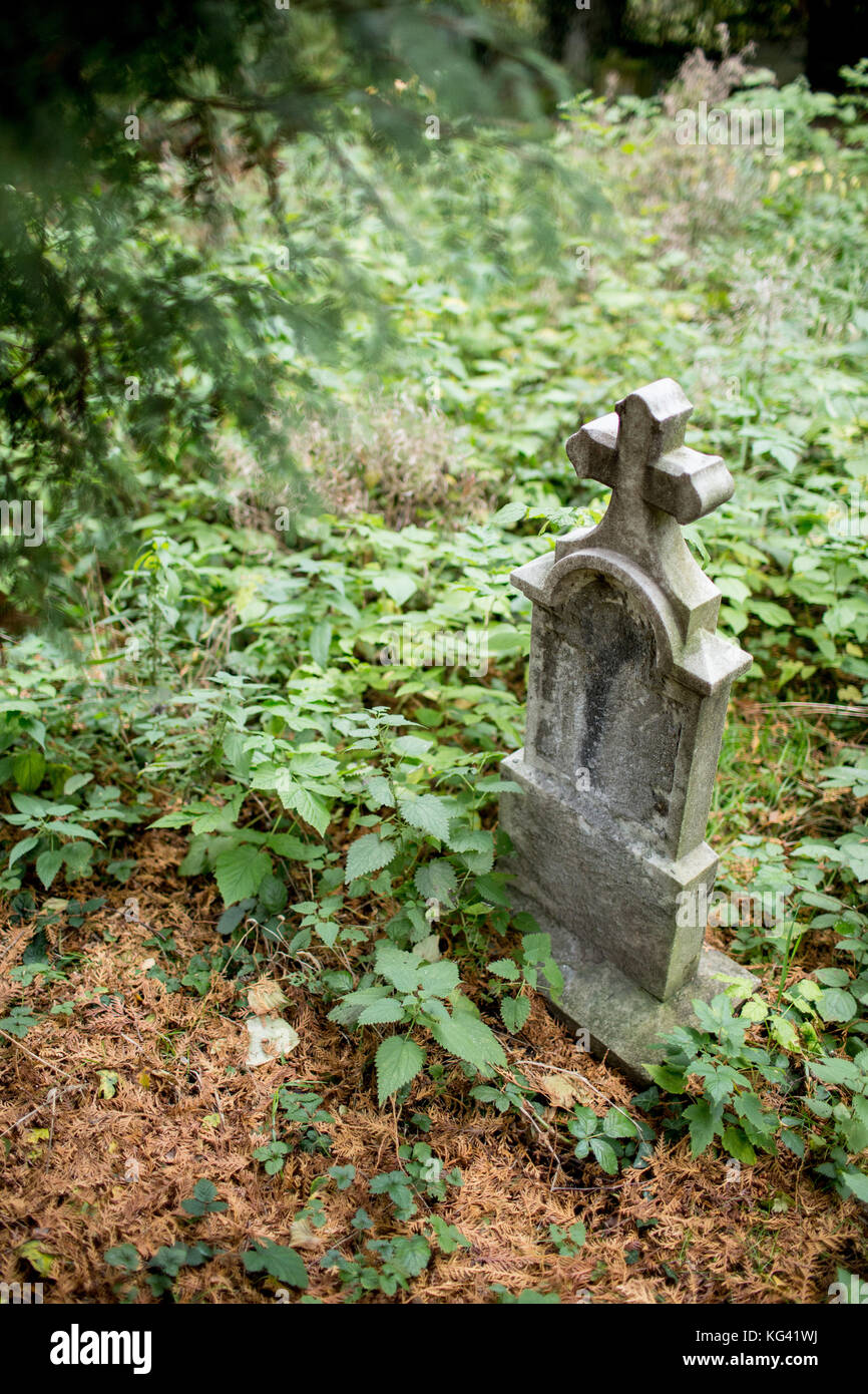 BielskoBiala city in Poland. Old abandoned Evangelical cemetery in