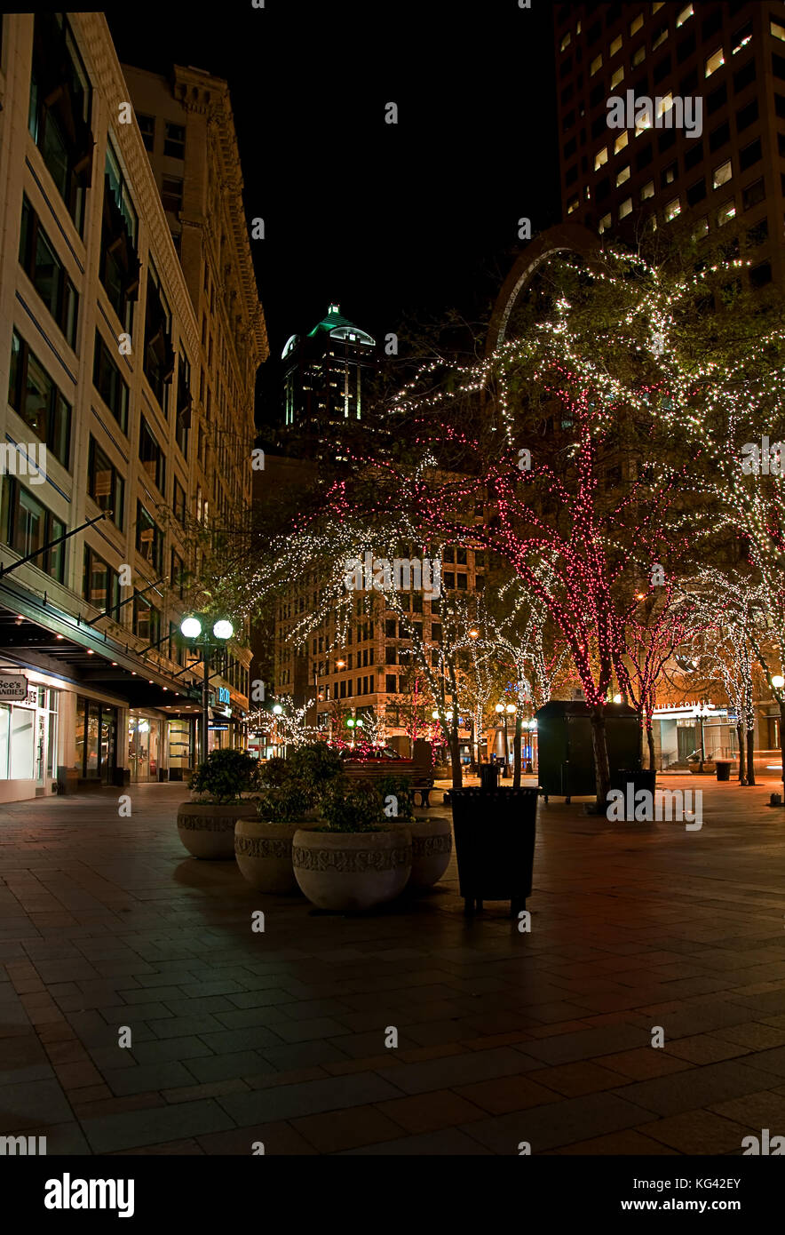This stock image is of downtown Seattle, WA in King County, at Christmas time with city trees decorated in Christmas lights at light. Stock Photo