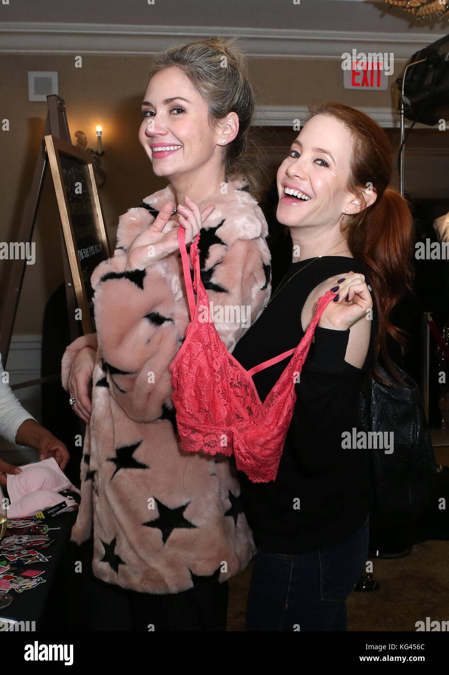 Beverly Hills, Ca. 2nd Nov, 2017. Ashley Jones, Amy Davidson, at the #