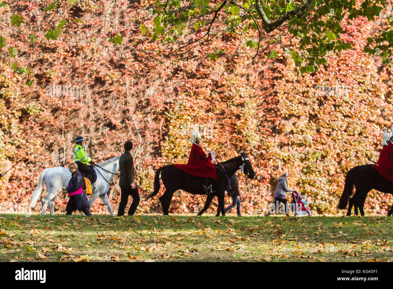 London, UK. 3rd Nov, 2017. Members of the Household Cavalry ride past a wall of autumn leaves on Horse Guards parade on a sunny autumn morning Credit: amer ghazzal/Alamy Live News Stock Photo