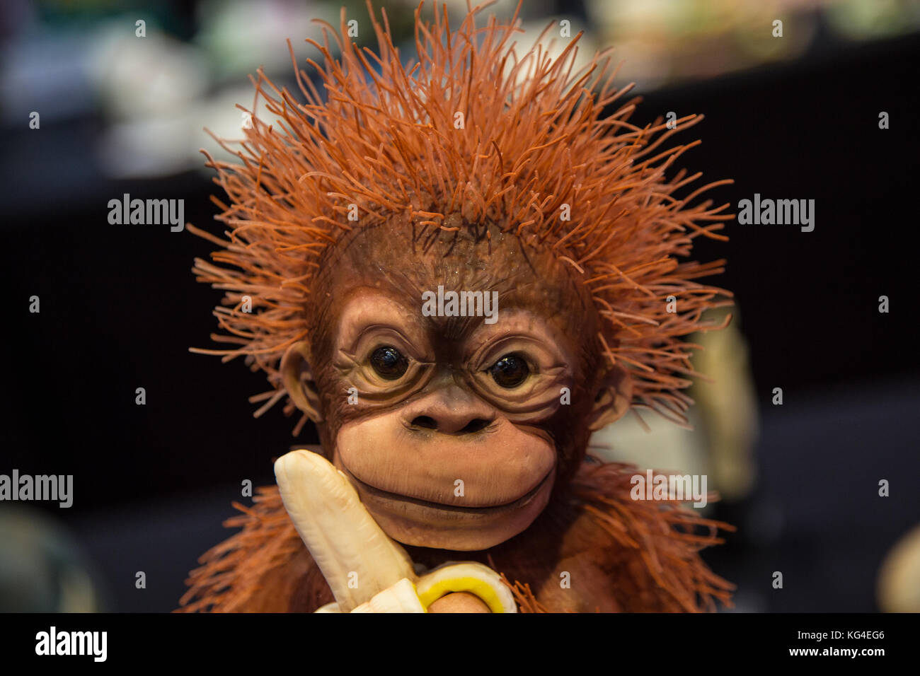 Molly Robbins High Resolution Stock Photography And Images Alamy