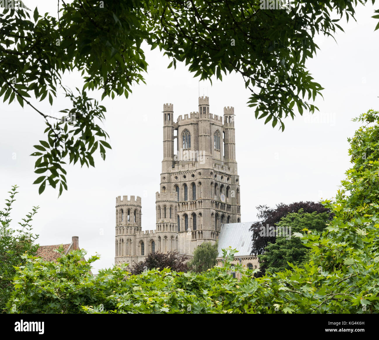 Cathedral through trees hi-res stock photography and images - Alamy
