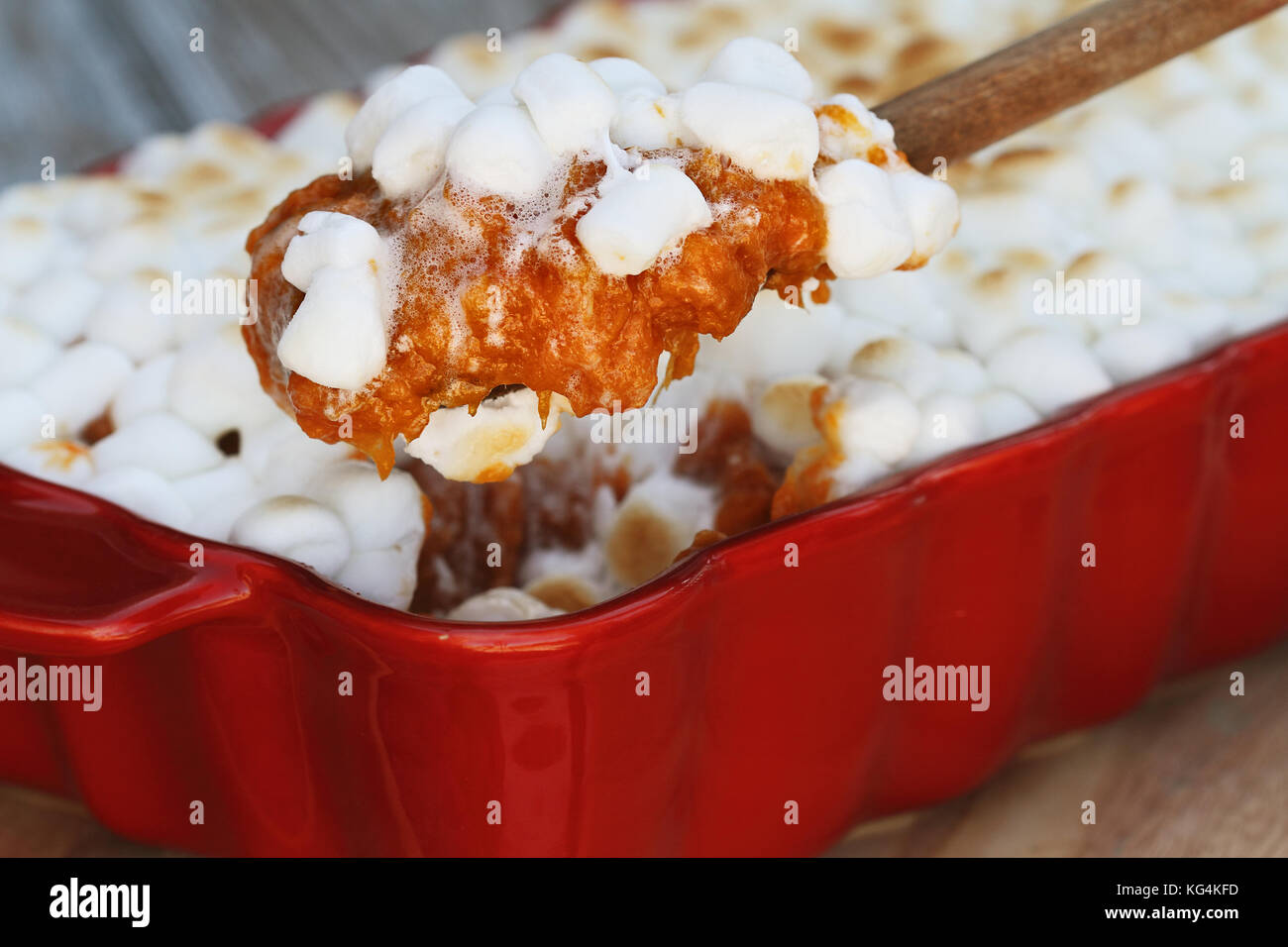 Spoonful of sweet potato casserole baked with mini marshmallows being served for Thanksgiving Day dinner. Extreme shallow depth of field with selectiv Stock Photo