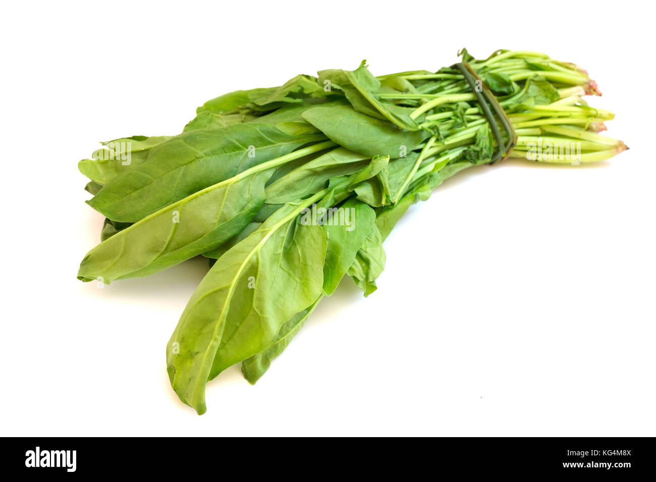 Spinach leaves on a white background Stock Photo