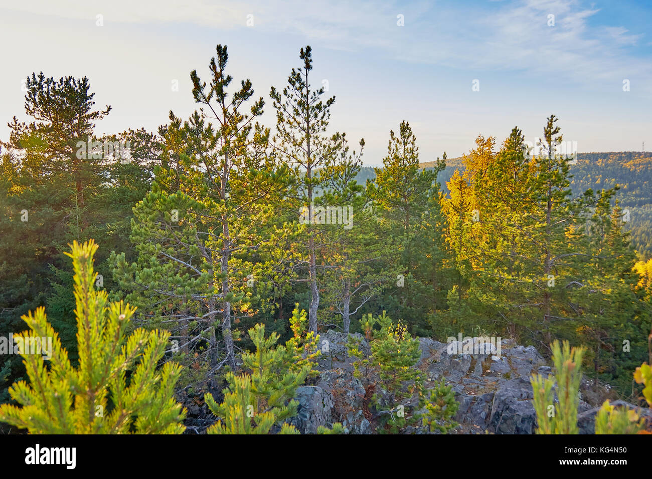 the mountain autumn landscape with colorful forest Stock Photo - Alamy