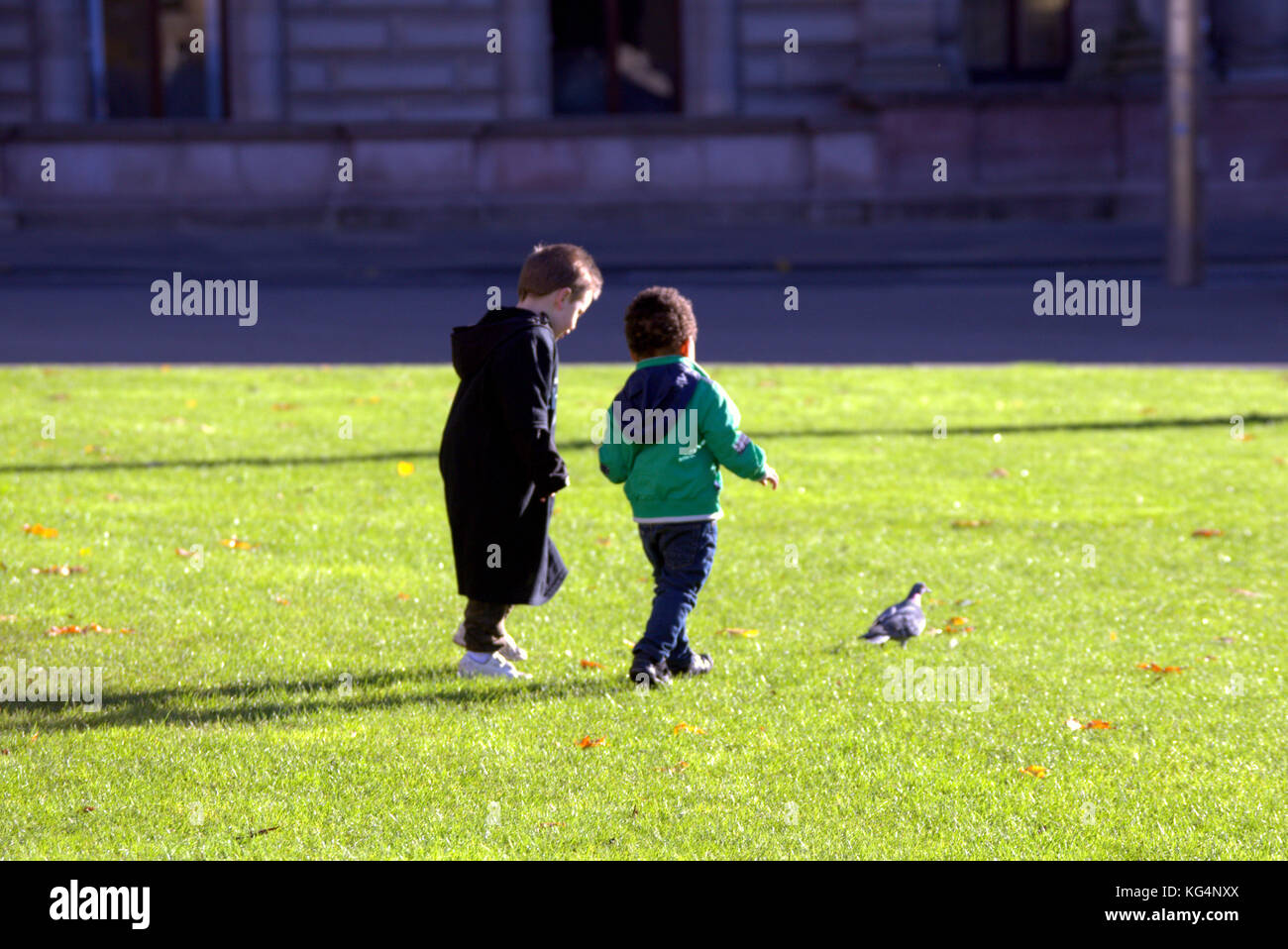 young children kids small boys  one black one white chasing a pigeon on grass viewed from behind Stock Photo