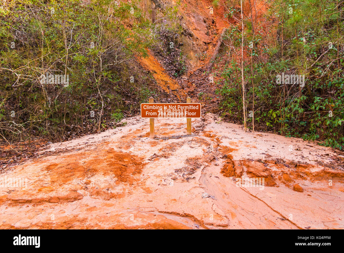 the-prohibit-sign-standing-on-the-red-loamy-floor-of-providence-canyon