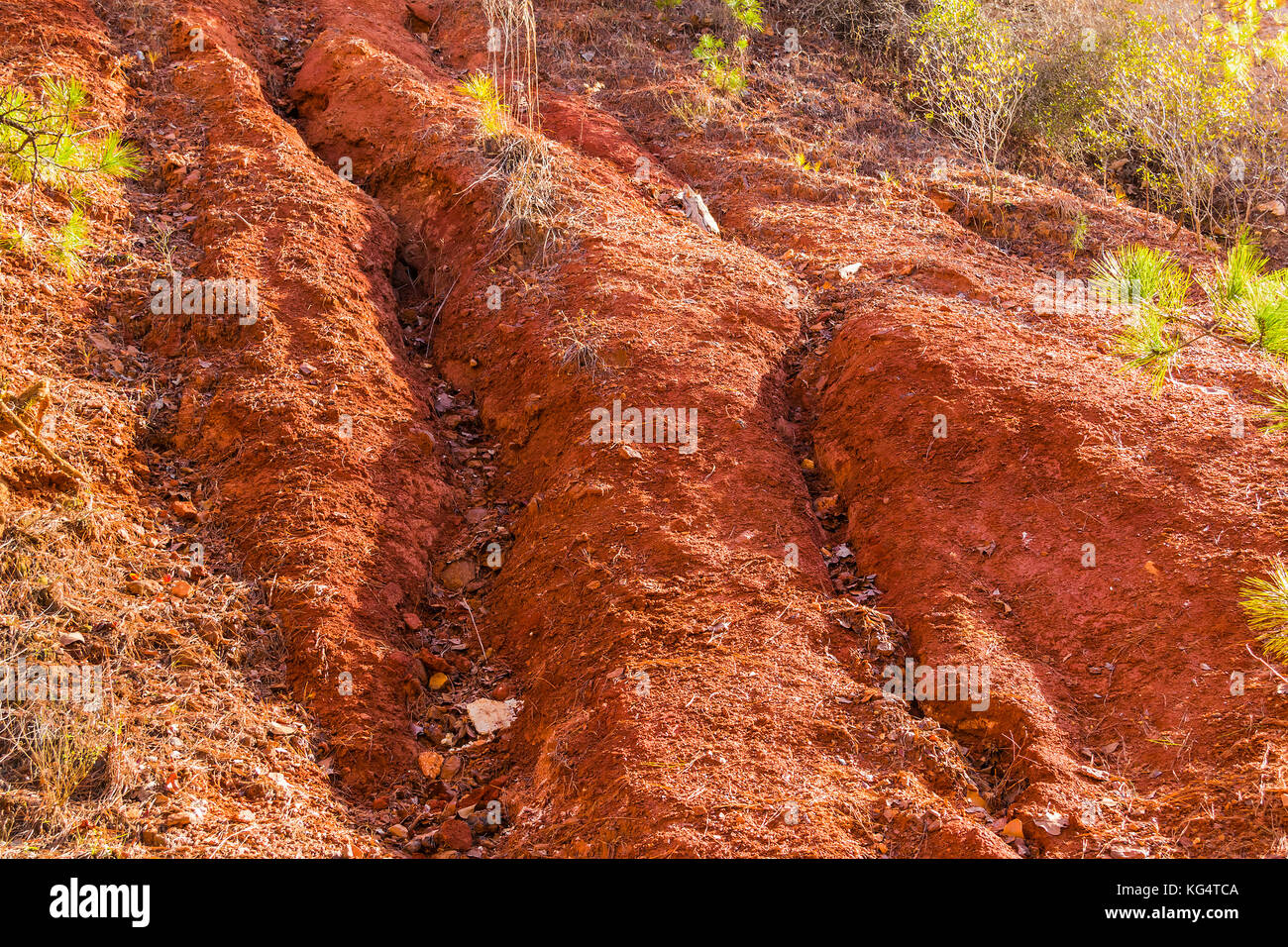 Loamy Soil Stock Photos & Loamy Soil Stock Images Alamy