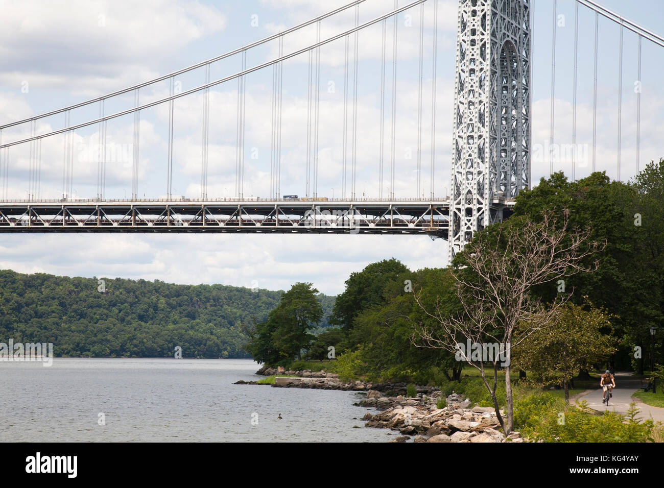 George Washington Bridge, Hudson river, Greenway, Riverside Park, New York, USA, America Stock Photo