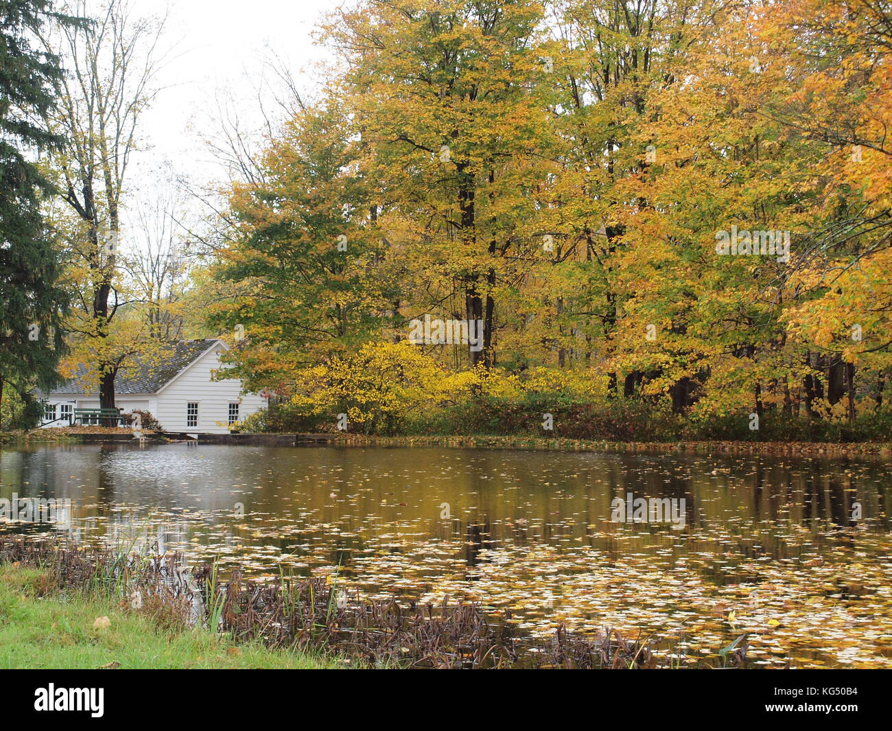 Jefferson township in Morris County, New Jersey and a fall scene of