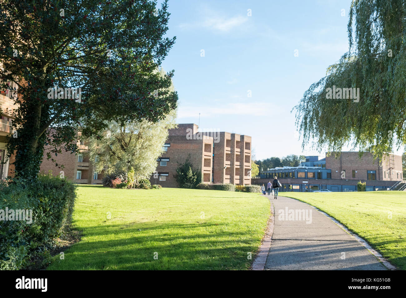 The Lawns, Cottingham - student accommodation and student village for the University of Hull, Stock Photo